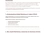 write SEO blog posts, articles and content
